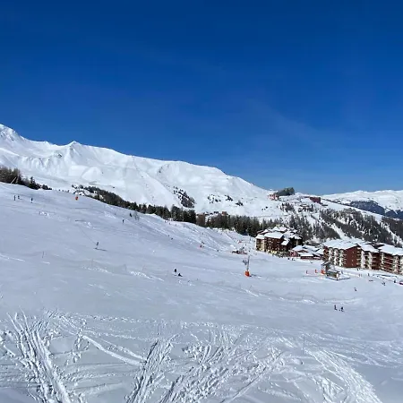 Duplex Calme Au Pied Des Pistes, Balcon Et Animaux Acceptes - Fr-1-455-232 La Plagne-Tarentaise