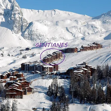 Duplex Calme Au Pied Des Pistes, Balcon Et Animaux Acceptes - Fr-1-455-232 Apartment *